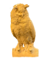 Puchacz.png