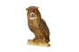 1U7A9170.png
