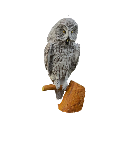 Pomalowany.png