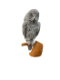 Pomalowany.png