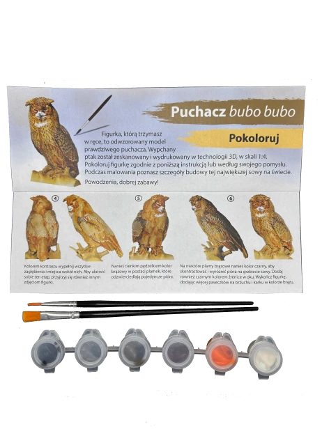 Zawartość pudełka cz.png