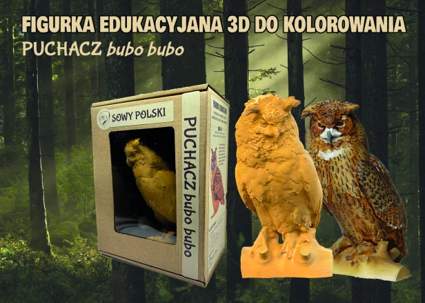 Puchacz grafika produkt mniejszy.jpg