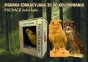 Puchacz grafika produkt mniejszy.jpg