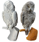 Mszarny grafika produkt .png