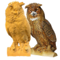 Puchacz grafika produkt.png
