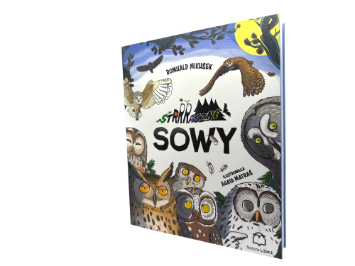 Sowy wycięta.png