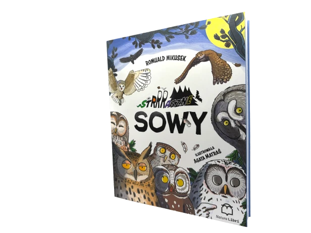 Sowy wycięta.png