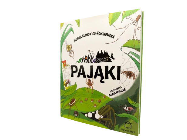 Pająki tło.png
