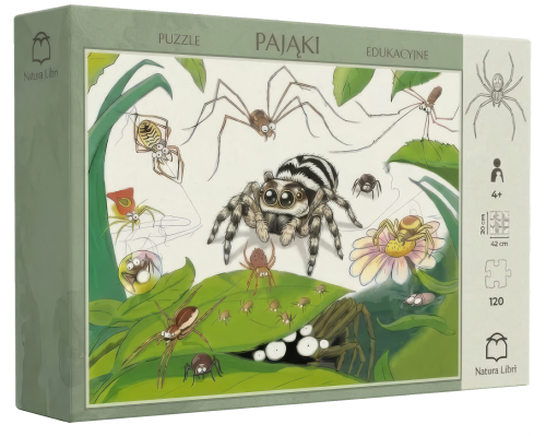Puzzle pudełko.png