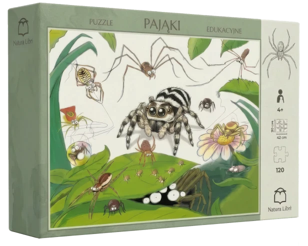 Puzzle pudełko.png