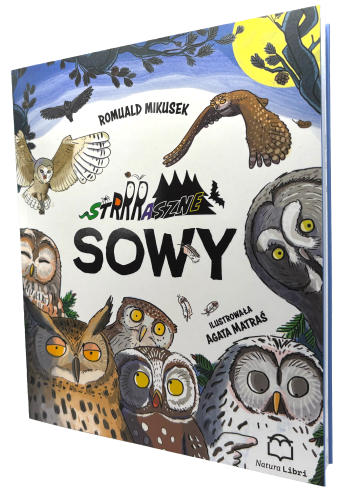 Sowy wycięta.png