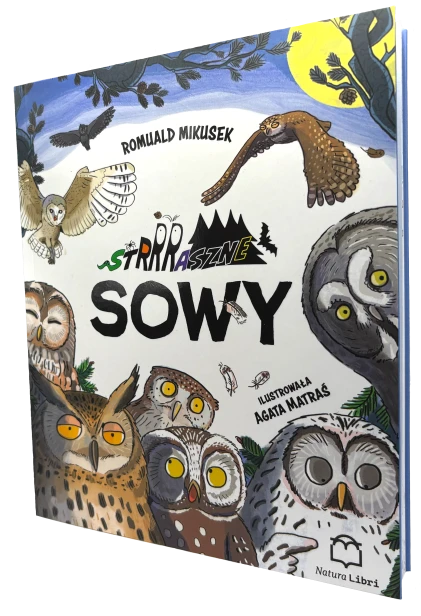 Sowy wycięta.png