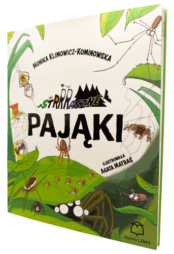 Pająki tło.png