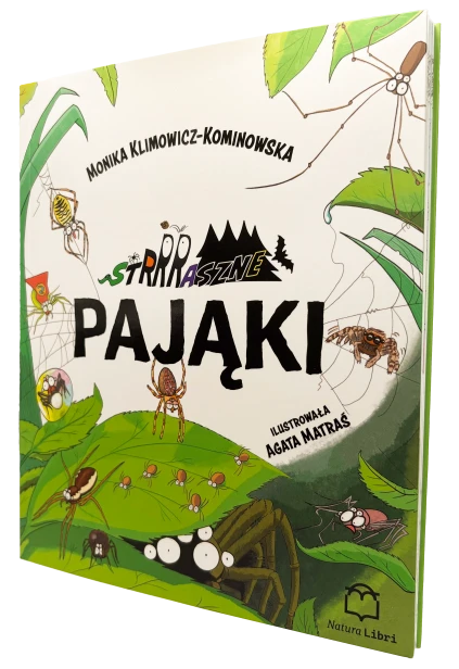 Pająki tło.png