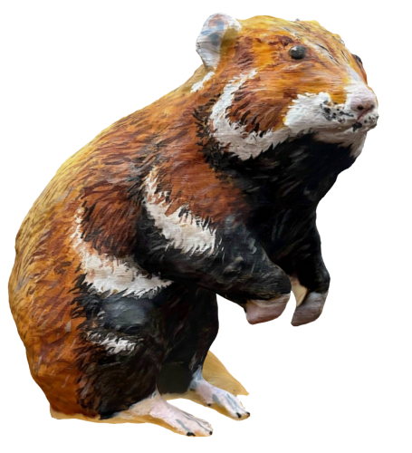 Chomik1.png