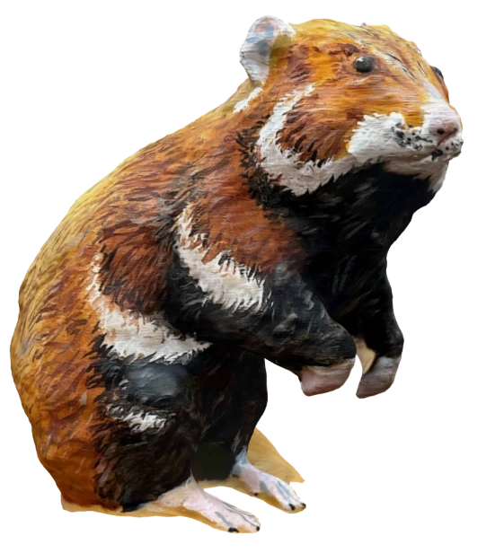 Chomik1.png