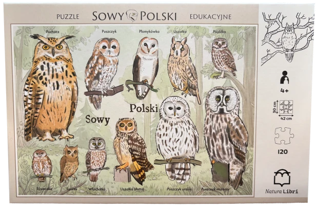 Przód mniejszy.png