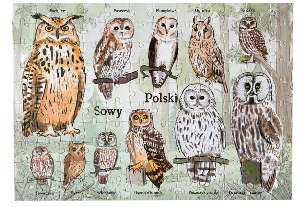 Puzzle mniejszy.png