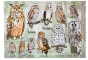 Puzzle mniejszy.png